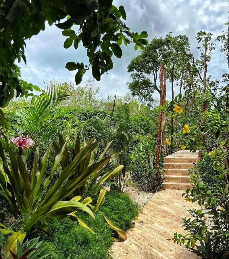 Anana Yaaxlum 105 S Apartment Tulum Mexico